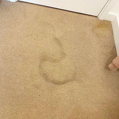 Carpet Cleaning Before