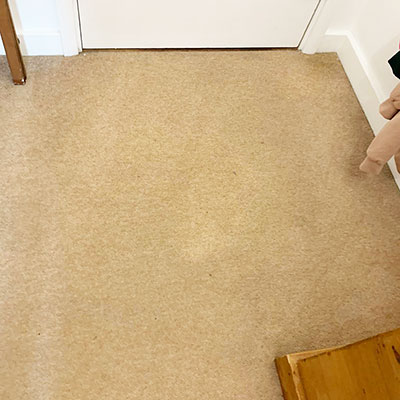 Carpet Cleaning After