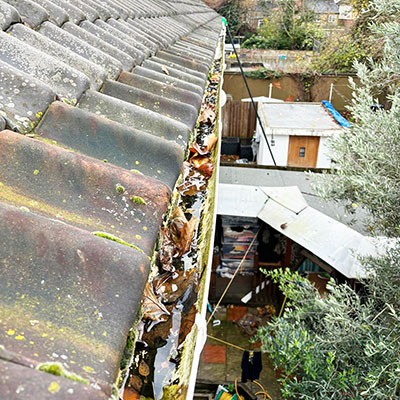 Gutter Cleaning Before