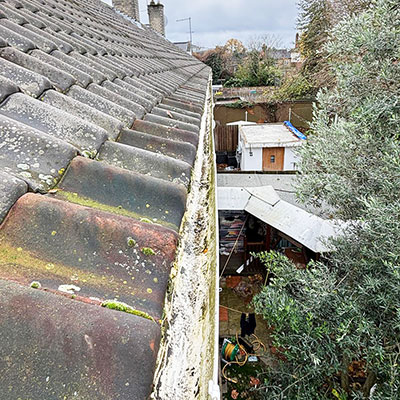 Gutter cleaning After
