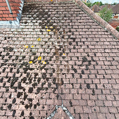 Roof Cleaning Before