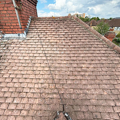Roof Cleaning After