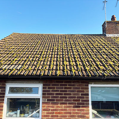 Roof Cleaning Before